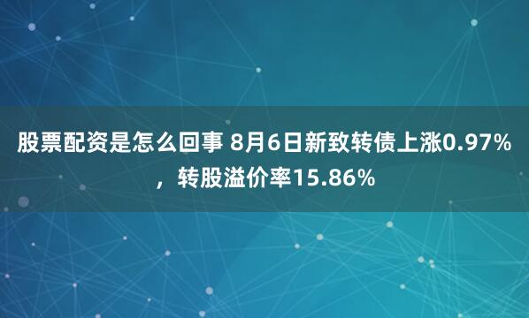 股票配资是怎么回事 8月6日新致转债上涨0.97%，转股溢价率15.86%